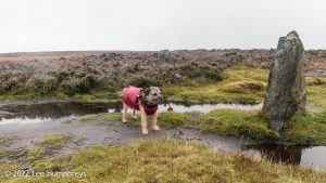 The 12 Apostles, Rombalds Moor, Ilkley