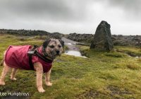 The 12 Apostles, Rombalds Moor, Ilkley