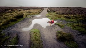 The 12 Apostles, Rombalds Moor, Ilkley