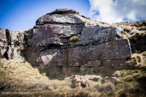 The Brontë Stones