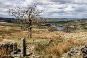 The Brontë Stones