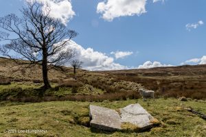 The Brontë Stones