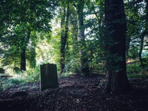 On the Trail of the Brontë Stones: Ann