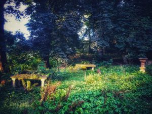On the Trail of the Brontë Stones: Ann