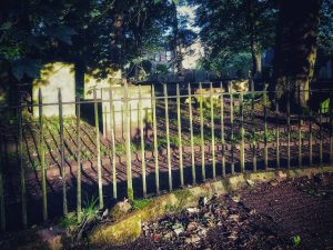 On the Trail of the Brontë Stones: Ann