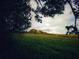 On the Trail of the Brontë Stones: Ann