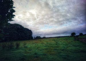 On the Trail of the Brontë Stones: Ann