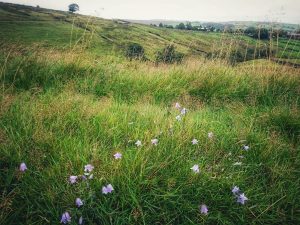 On the Trail of the Brontë Stones: Emily