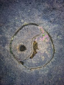 On the Trail of the Brontë Stones: Emily