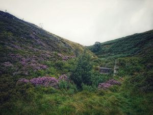 On the Trail of the Brontë Stones: Emily