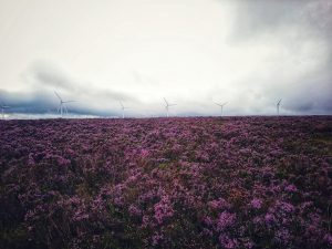 On the Trail of the Brontë Stones: Emily