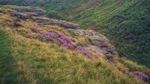 On the Trail of the Brontë Stones: Emily