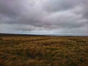 The Wolf Stones Trig Point