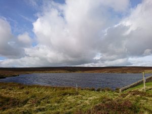 The Wolf Stones Trig Point