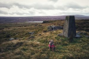 The Wolf Stones Trig Point