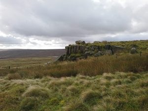 The Wolf Stones Trig Point