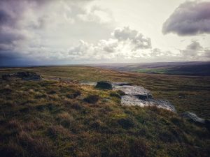 The Wolf Stones Trig Point