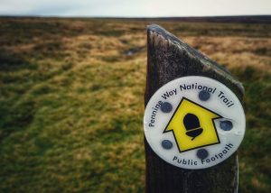 The Wolf Stones Trig Point Hike