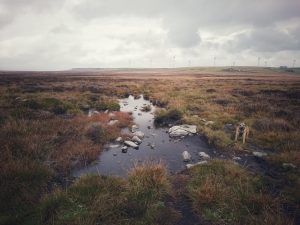 Wainstalls Big Wander