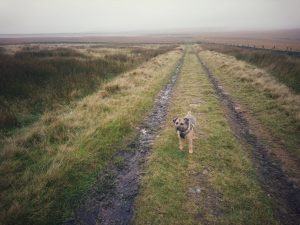 Wainstalls Big Wander