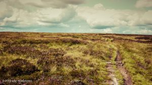 Warley Moor Wander