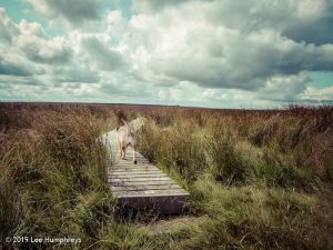 Warley Moor Wander