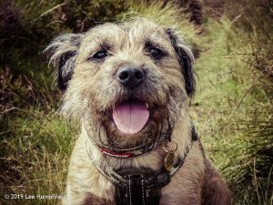 Warley Moor Wander