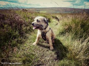 Warley Moor Wander