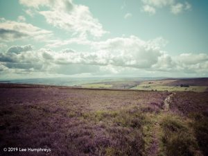 Warley Moor Wander