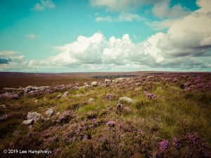 Warley Moor Wander