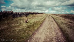 Warley Moor Wander