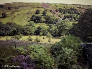 Warley Moor Wander
