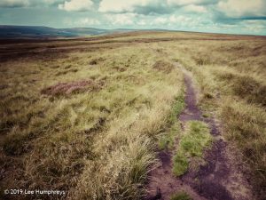 Warley Moor Wander