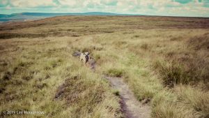 Warley Moor Wander