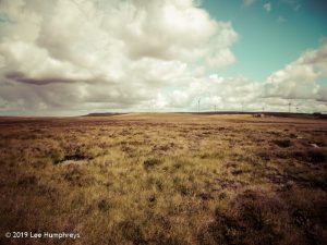 Warley Moor Wander