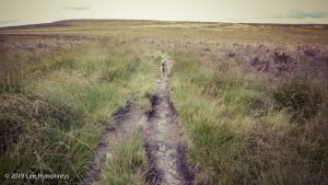 Warley Moor Wander