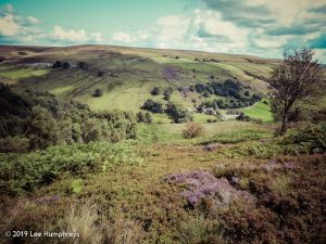 Warley Moor Wander