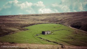 Warley Moor Wander