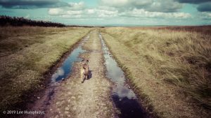 Warley Moor Wander