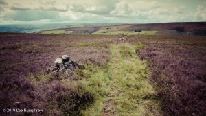 Warley Moor Wander