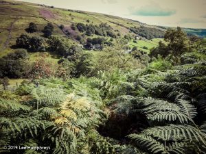 Warley Moor Wander