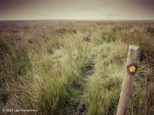 Warley Moor Wander