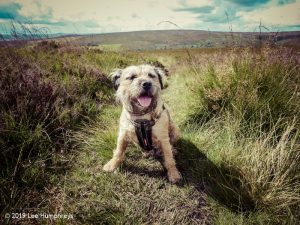 Warley Moor Wander