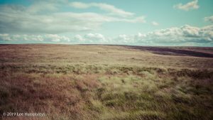 Warley Moor Wander