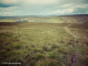 Warley Moor Wander