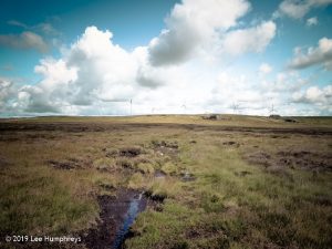 Warley Moor Wander
