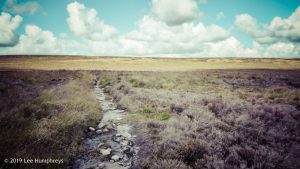 Warley Moor Wander