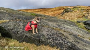 Widdop Reservoir Circular