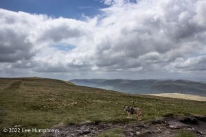 Wild Boar Fell & Sand Tarn – Wild Camp #031