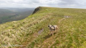 Wild Boar Fell & Sand Tarn – Wild Camp #031